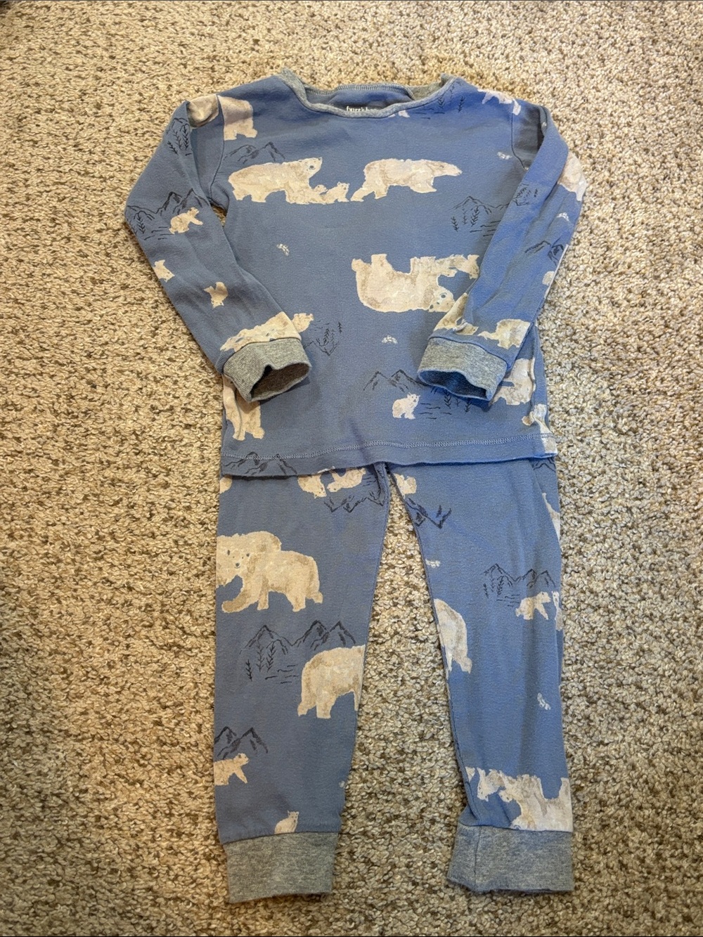 Burt’s Bees Two Piece Sleep Set Pajamas 100% Organic Cotton Size 3T Winter Print